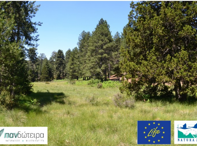 Εκδήλωση με θέμα: «Natura 2000: Ευαισθητοποίηση και πληροφόρηση ενδιαφερόμενων φορέων»